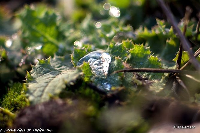Wetter-Bild (Foto: Gernot Thelemann)