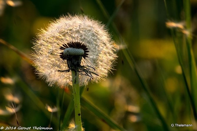 Wetterbild (Foto: Gernot Thelemann) Wetterbild (Foto: Gernot Thelemann)