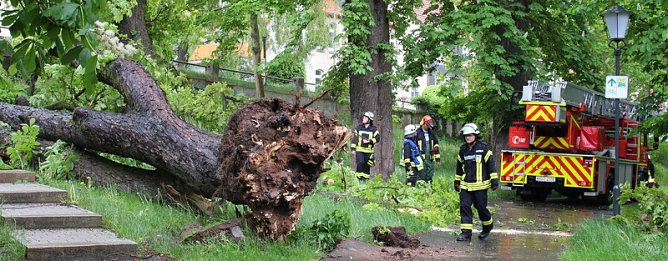 Feuerwehreinsatz (Foto: Feuerwehr Heiligenstadt) Feuerwehreinsatz (Foto: Feuerwehr Heiligenstadt)