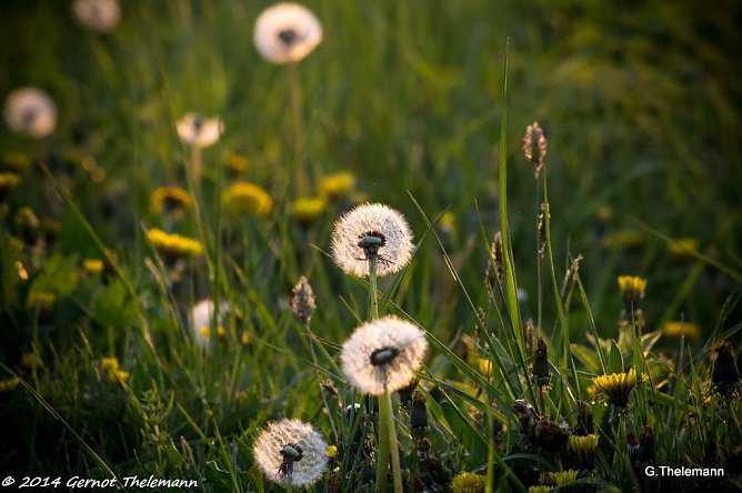 Wetterbild (Foto: Gernot Thelemann)