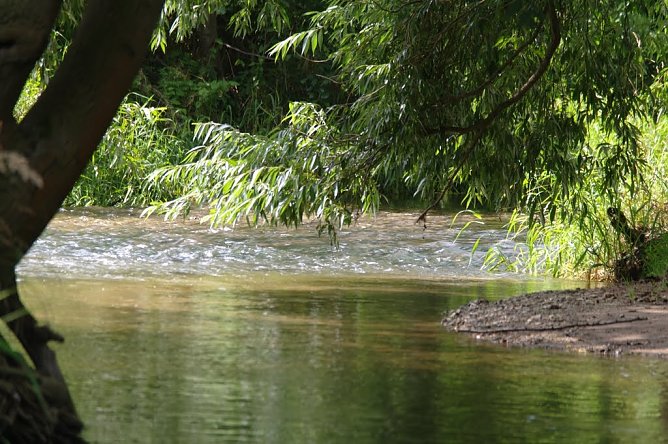 Wetter-Bild (Foto: Gernot Thelemann)
