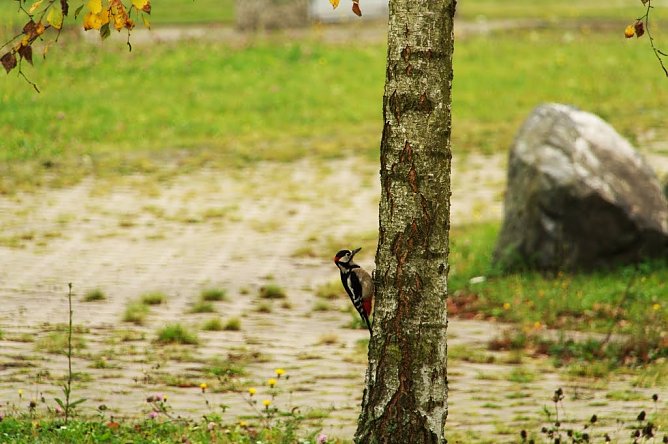 Wetterbild (Foto: Gernot Thelemann)