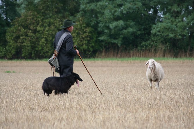 Leistungsh&uuml;ten (Foto: Christoph Neumann)