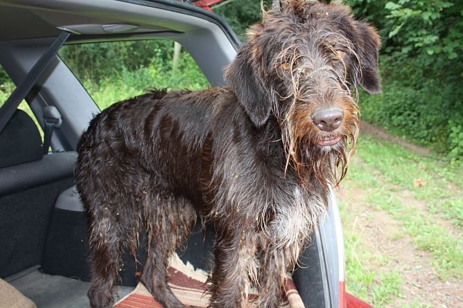 Jule (Foto: Naturparkverwaltung)