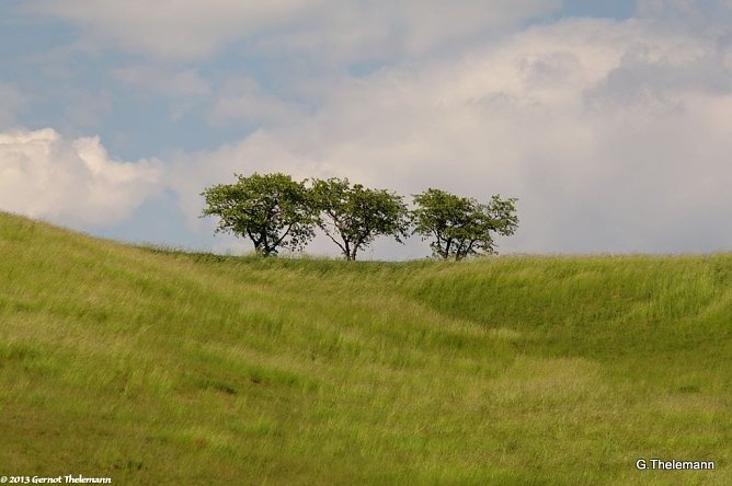 Wetterbild (Foto: Gernot Thelemann)