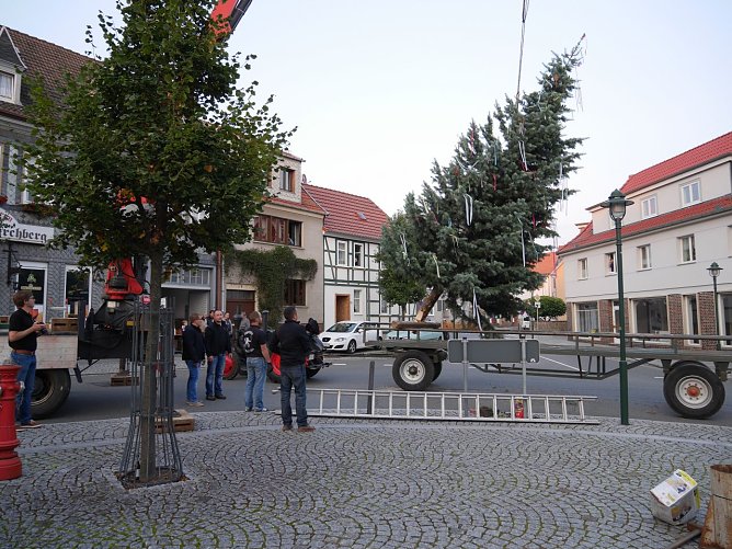 Baum aufstellen (Foto: Johannes Rudolph)