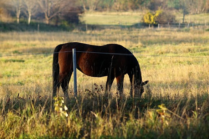 Wetterbild (Foto: Gernot Thelemann)