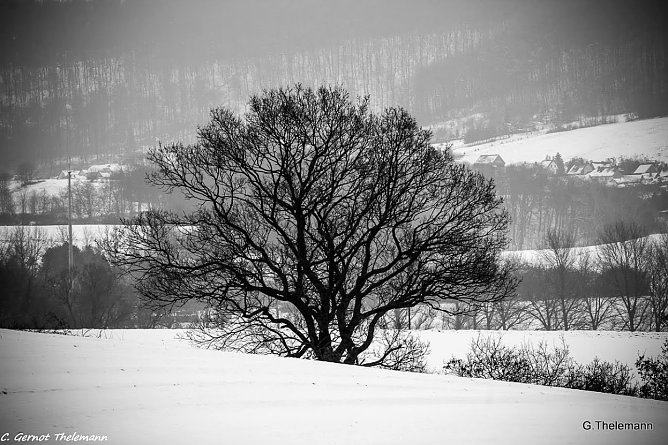 Kommt jetzt der Winter? (Foto: Gernot Thelemann)