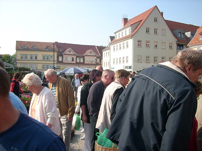 Pflanzenmarkt am Sonntag (Foto: Karl-Heinz Herrmann)