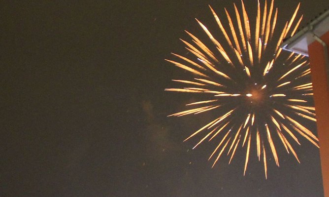 Silvester mit Tieren - Tipps vom Tierschutzbund (Foto: Angelo Glashagel)
