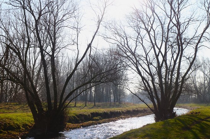 Wetterbild (Foto: Angelo Glashagel) Wetterbild (Foto: Angelo Glashagel)