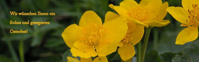 Ostergru&szlig; (Foto: Ilka K&uuml;hn)