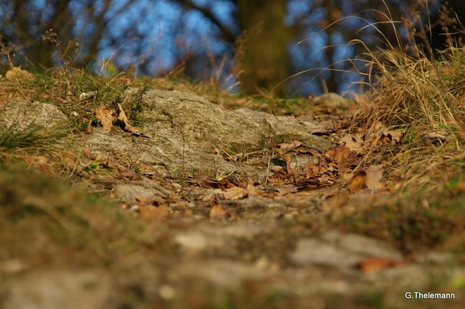 Wetter-Bild (Foto: Gernot Thelemann)