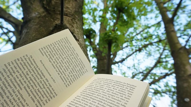 Zum Tag des Buches (Foto: Daniela Troegerx)