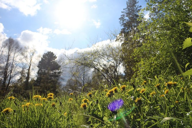 Wetterbild (Foto: Angelo Glashagel) Wetterbild (Foto: Angelo Glashagel)