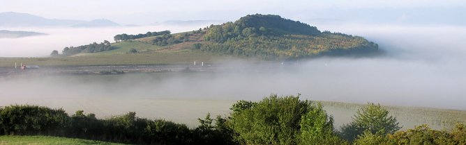 Pferdeberg Grünes Band (Foto: Neumann) Pferdeberg Grünes Band (Foto: Neumann)