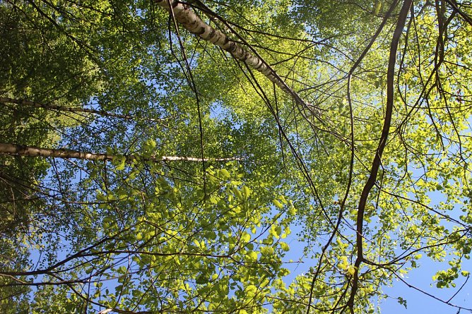 Wetterbild (Foto: Angelo Glashagel) Wetterbild (Foto: Angelo Glashagel)