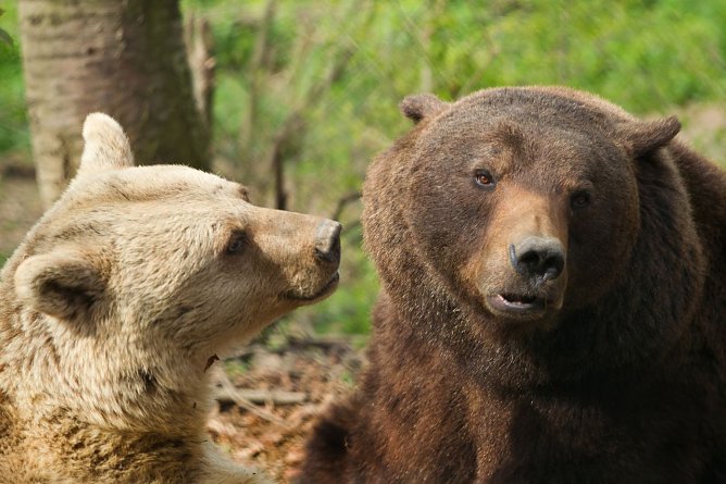 Auch Emma und Max freuen sich (Foto: B&auml;renpark)