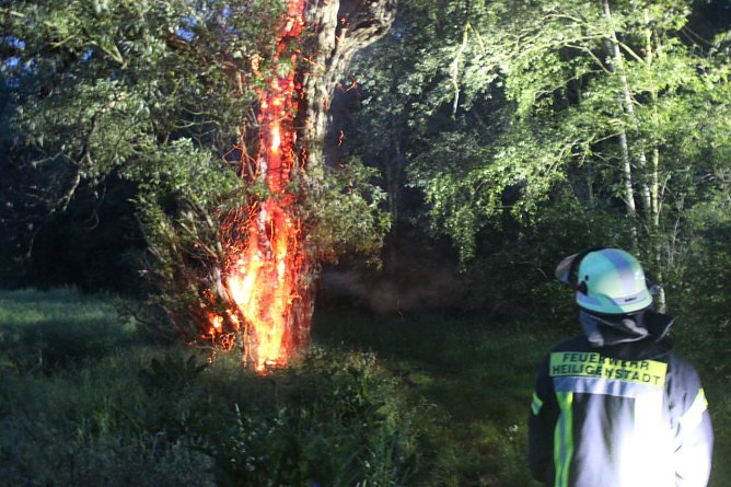 Brennender Baum (Foto: Feuerwehr Heiligenstadt) Brennender Baum (Foto: Feuerwehr Heiligenstadt)