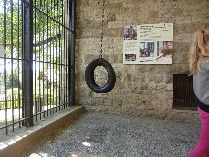 Alter K&auml;fig (Foto: Ilka K&uuml;hn)