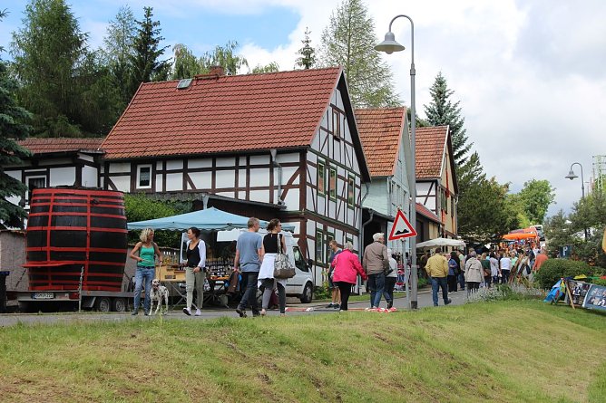 &Uuml;ber 100 K&uuml;nstler zeigen was sie k&ouml;nnen (Foto: Karl-Heinz Herrmann)