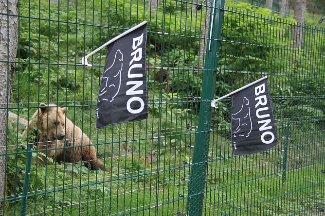 Trauer um Bruno (Foto: Rüdiger Schmiedel) Trauer um Bruno (Foto: Rüdiger Schmiedel)