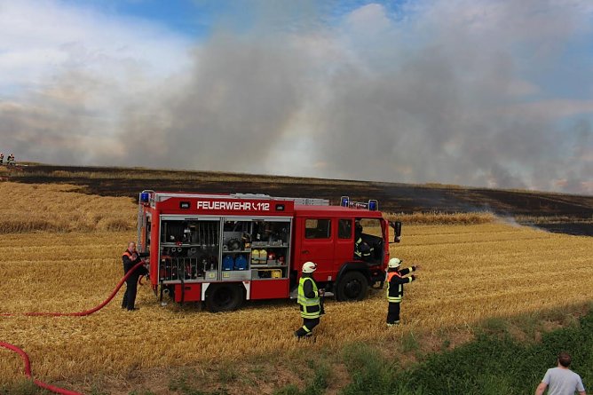 Feldbrand  (Foto: Thomas M&uuml;ller)
