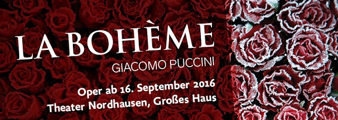 Banner (Foto: Theater Nordhausen)