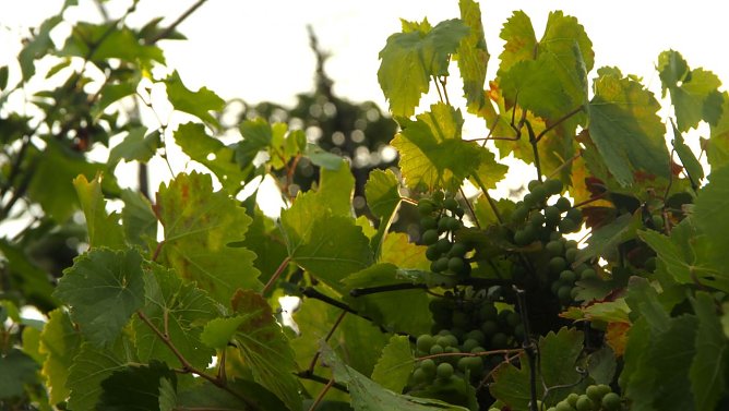 Wetterbild (Foto: Angelo Glashagel)