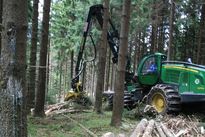 F&auml;llarbeiten (Foto: Mario Klein)