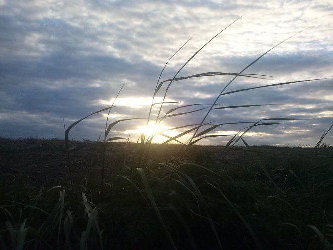 Wetterbild (Foto: Angelo Glashagel) Wetterbild (Foto: Angelo Glashagel)