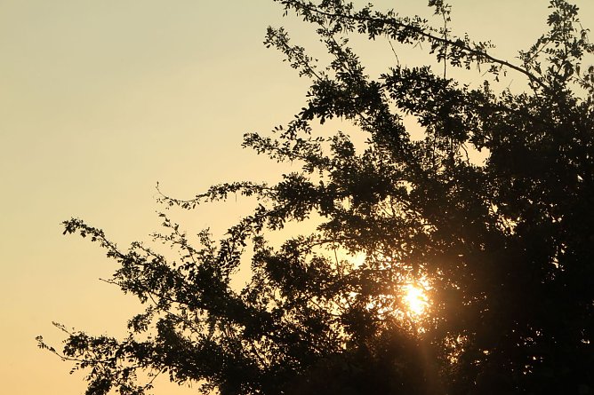 Wetterbild (Foto: Angelo Glashagel)