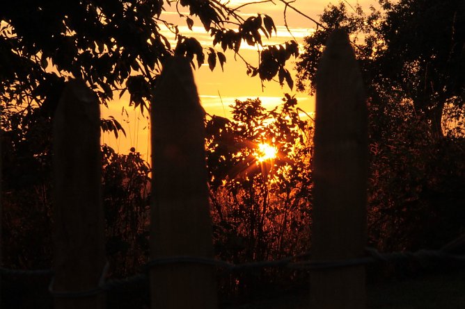Gibt es noch mal einen sch&ouml;nen Herbst? (Foto: Anja Schr&ouml;ter)