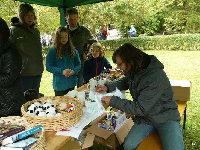 Quiz (Foto: Ilka K&uuml;hn)