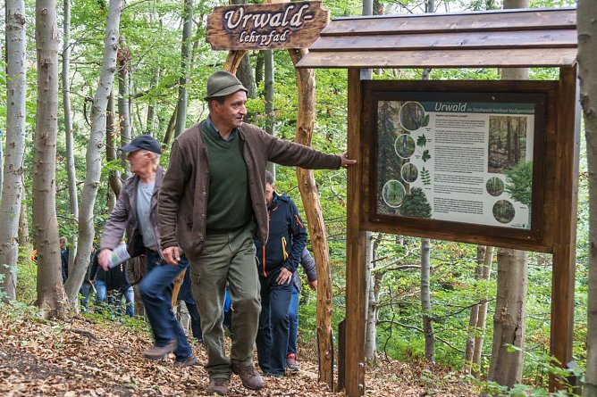 Urwaldpfad (Foto: Stadt HH)