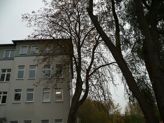 Haus Emmaus (Foto: Ilka K&uuml;hn)