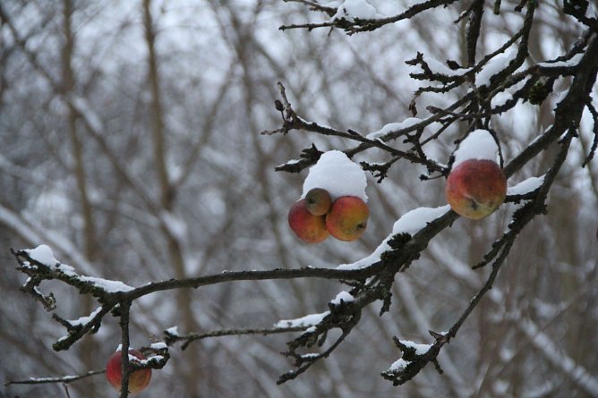 Wetterbild (Foto: Angelo Glashagel)