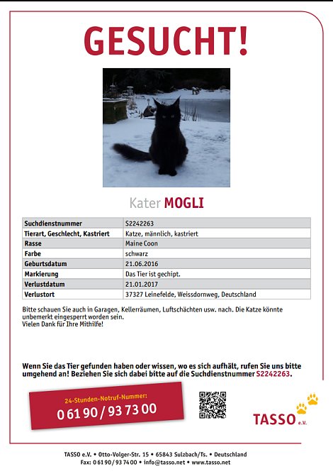 Suchplakat (Foto: Privat)