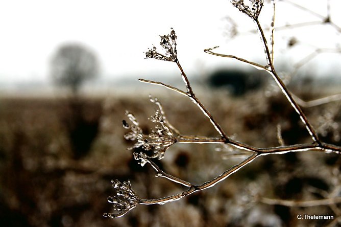 Wetter-Bild (Foto: Gernot Thelemann)