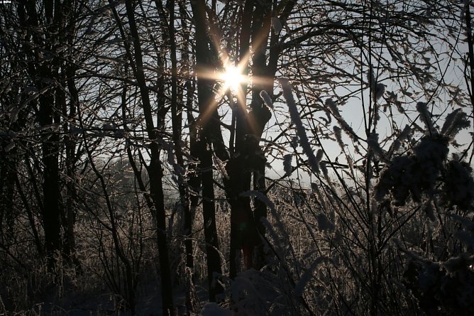 Wetter-Bild (Foto: Gernot Thelemann)