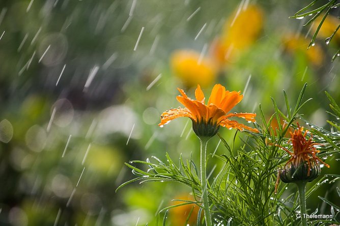 Wetterbild (Foto: Gernot Thelemann)