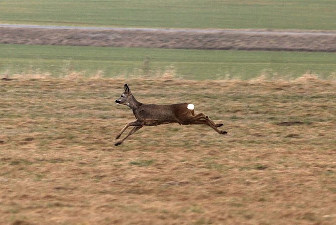 Wetter-Bild (Foto: Gernot Thelemann)