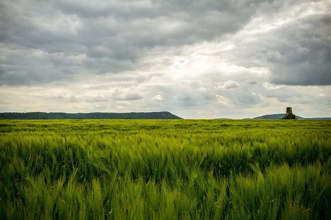 Wetterbild (Foto: Gernot Thelemann)