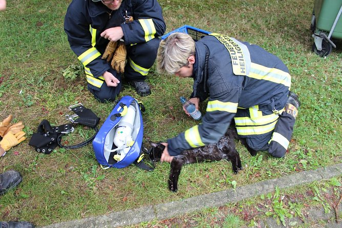 Bewusstlose Katze gerettet (Foto: Feuwerwehr Heilibad Heiligenstadt)