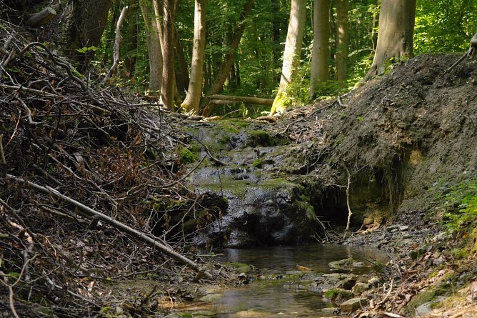 Wetter-Bild (Foto: Gernot Thelemann)