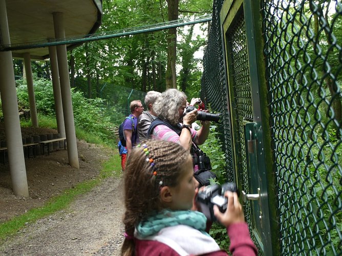Bären sind beliebte Fotomotive (Foto: Lilith Reinhold) Bären sind beliebte Fotomotive (Foto: Lilith Reinhold)