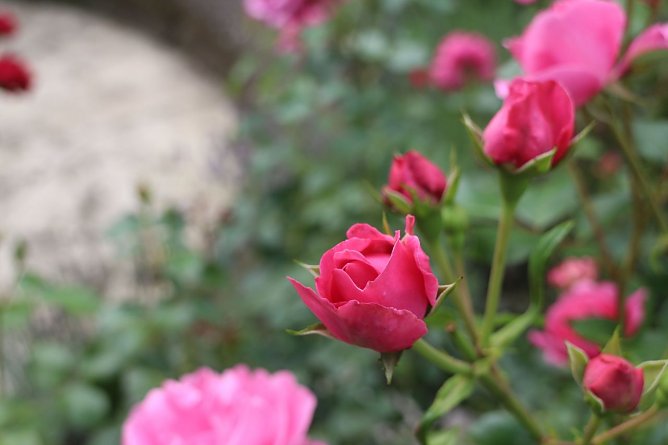 Wetterbild (Foto: Angelo Glashagel) Wetterbild (Foto: Angelo Glashagel)