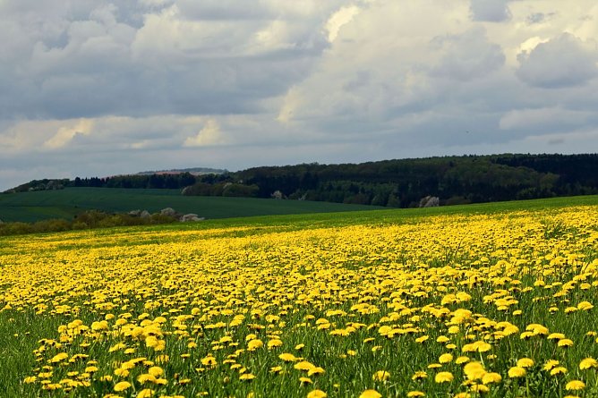 Wetterbild (Foto: Gernot Thelemann)