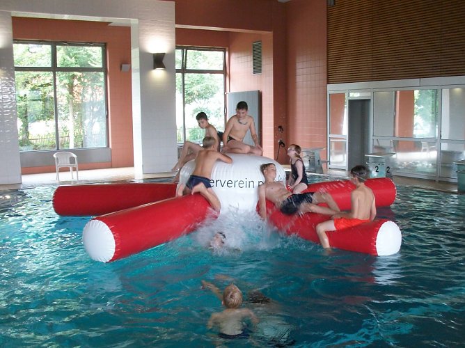 Seestern in der Wipperwelle (Foto: Dr. Dorst)