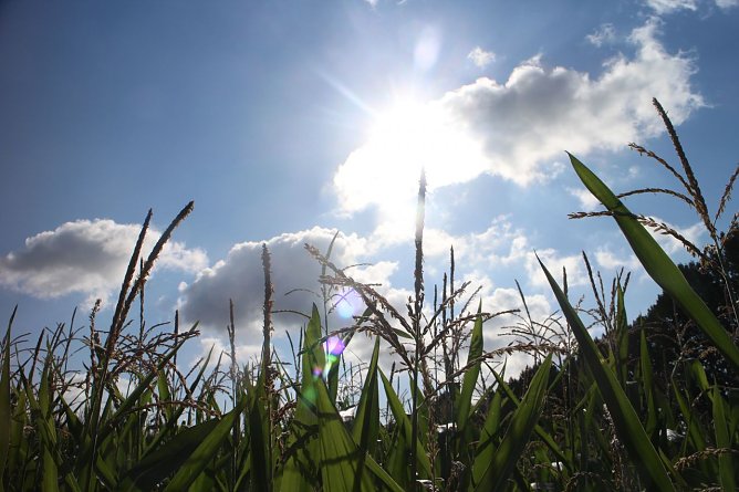 Wetterbild (Foto: Angelo Glashagel)